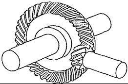 spiral bevel gear